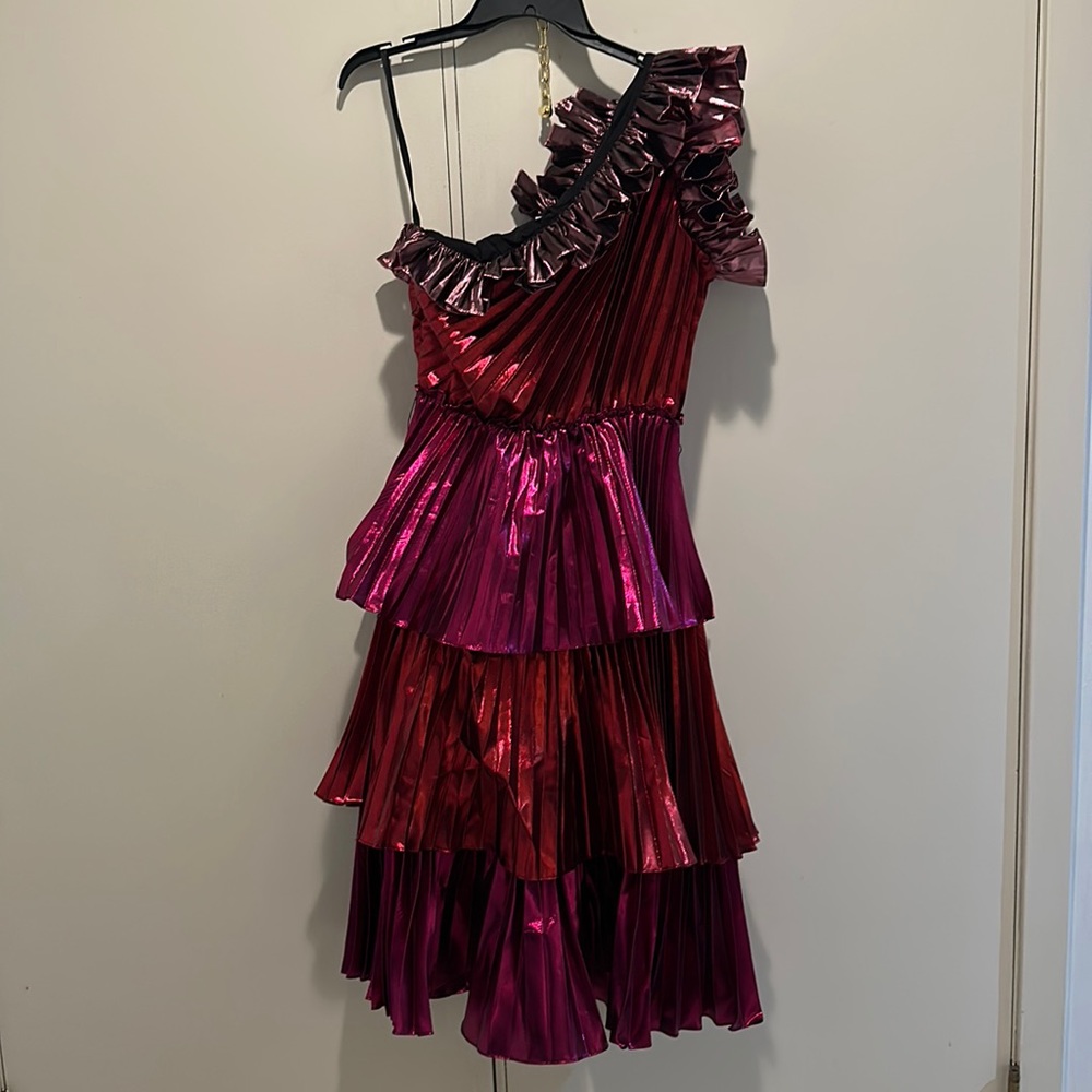 Metallic fancy dress